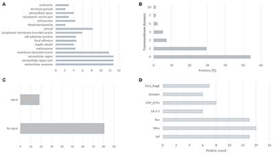 A Perspective on Extracellular Vesicles Proteomics